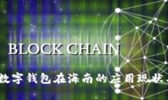 全面解析：数字钱包在海南的应用现状与发展前