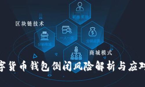 : 数字货币钱包倒闭风险解析与应对策略