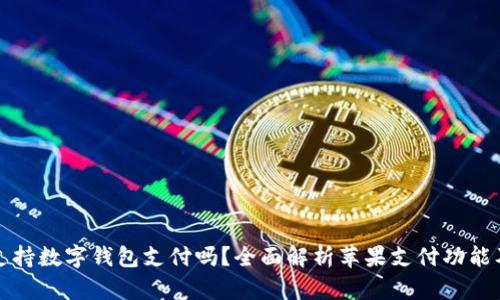 : 苹果支持数字钱包支付吗？全面解析苹果支付功能及其应用