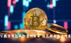 对公数字钱包风险案例分析：防范措施与应对策