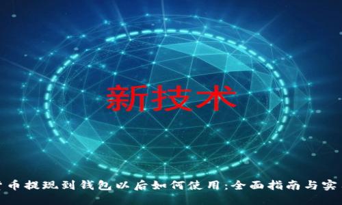 加密货币提现到钱包以后如何使用：全面指南与实用技巧