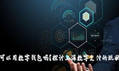 : 上海可以用数字钱包吗？探讨上海数字支付的现