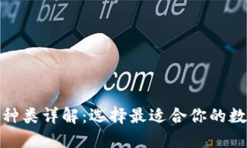 : 数字钱币钱包种类详解：选择最适合你的数字资产管理工具