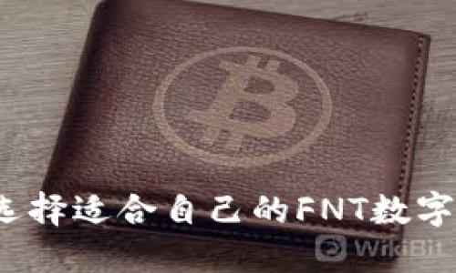 如何选择适合自己的FNT数字钱包？