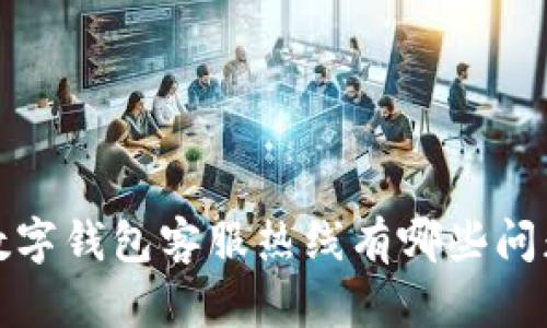  深圳人民数字钱包客服热线有哪些问题可以解决？