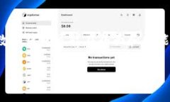 数字钱包怎么查看明细记录这一问题，随着电子