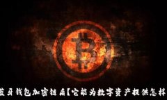    什么是蓝牙钱包加密链盾？它能为数字资产提