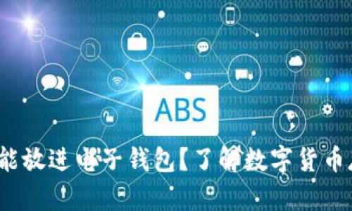  加密资产能不能放进电子钱包？了解数字货币存储的最佳选择