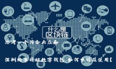 思考一个符合大众和深圳购车补贴数字钱包：如