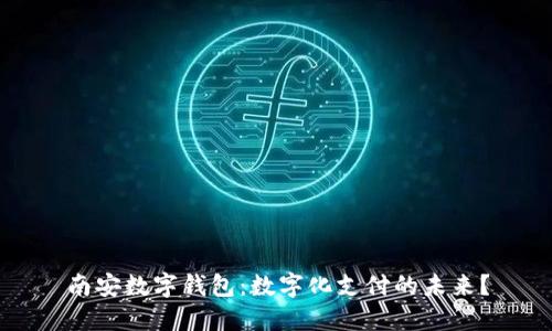 南安数字钱包：数字化支付的未来？