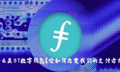 什么是BT数字钱包？它如何改变我们的支付方式？