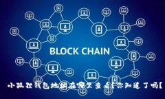  小狐狸钱包地址在哪里查看？你知道了吗？