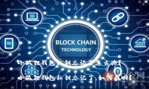 小狐狸钱包私钥忘记了怎么办？

小狐狸钱包私钥忘记了，如何找回？