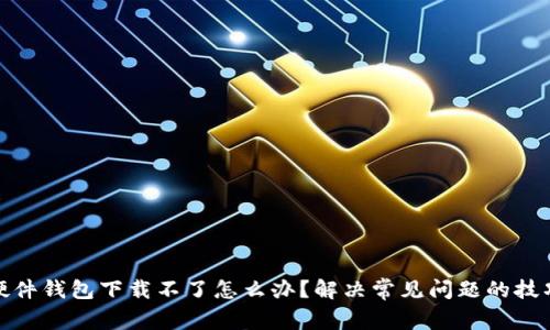 小狐狸硬件钱包下载不了怎么办？解决常见问题的技巧与建议