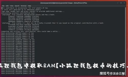 如何在小狐狸钱包中提取RAM？小狐狸钱包提币的技巧与注意事项