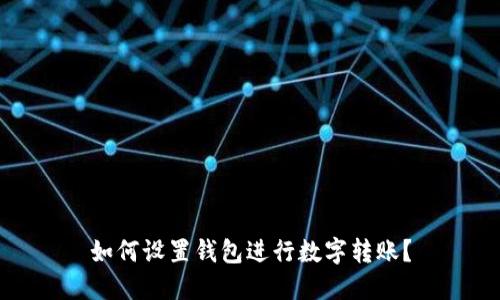 如何设置钱包进行数字转账？