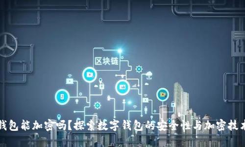 抖抖我钱包能加密吗？探索数字钱包的安全性与加密技术的关系