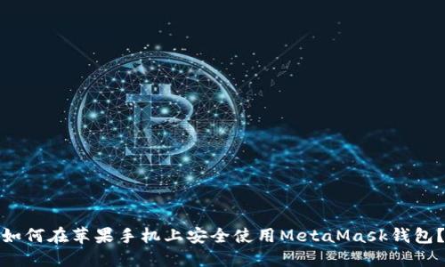 如何在苹果手机上安全使用MetaMask钱包？