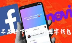 数字钱包是不是秒下款？揭开数字钱包的神秘面