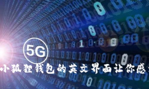 为什么小狐狸钱包的英文界面让你感到困惑？