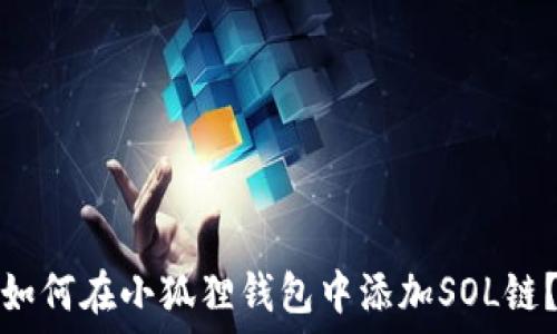   
如何在小狐狸钱包中添加SOL链？