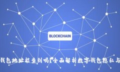 数字钱包地址能查到吗？全面解析数字钱包隐私
