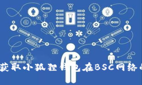 如何获取小狐狸钱包在BSC网络的ID？